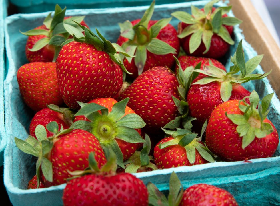 Pick Your Own Strawberries Cordelias Farm