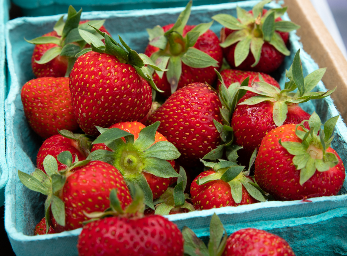 Pick Your Own Strawberries Cordelias Farm